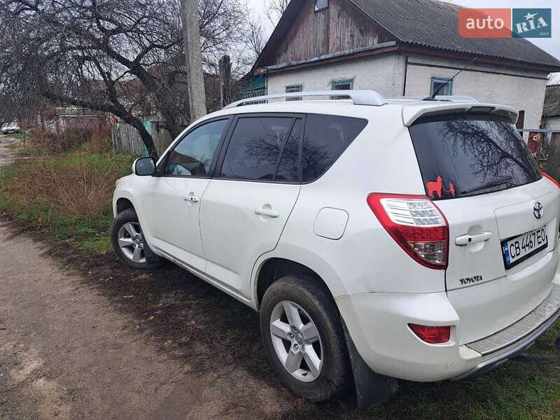 Внедорожник / Кроссовер Toyota RAV4 2010 в Чернигове фото 2 Внедорожник / Кроссовер Toyota RAV4 2010 в Чернигове