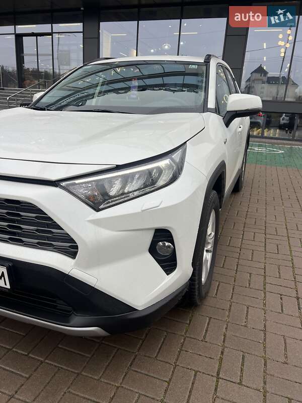 Позашляховик / Кросовер Toyota RAV4 2019 в Києві