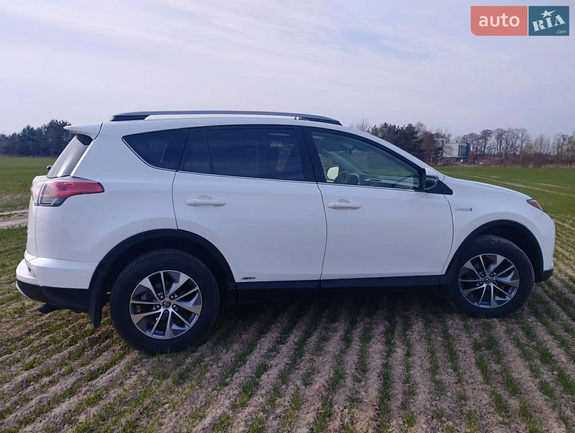 2017 Toyota RAV 4 - мініатюра 3