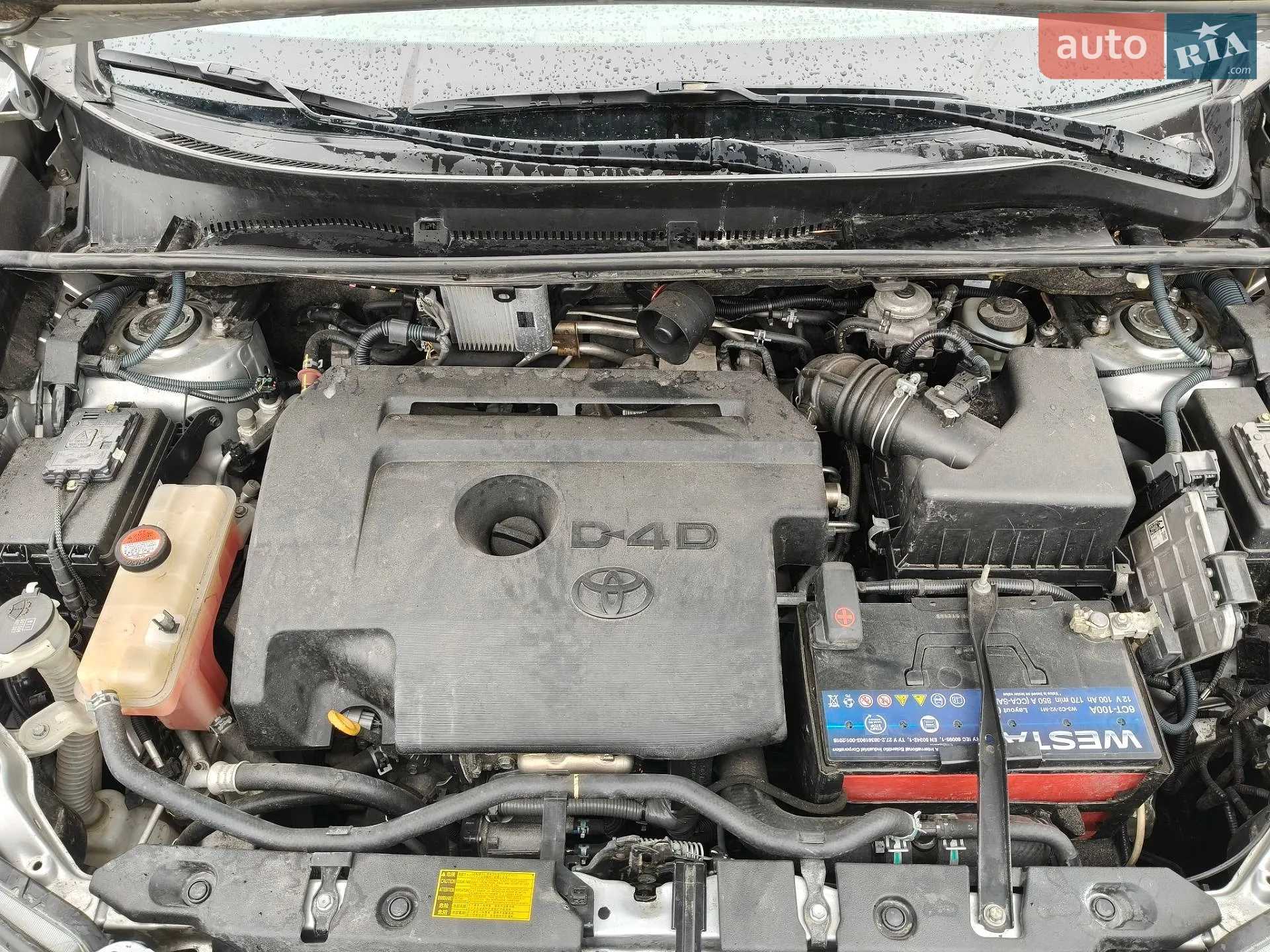 2014 Toyota RAV 4 - мініатюра 5