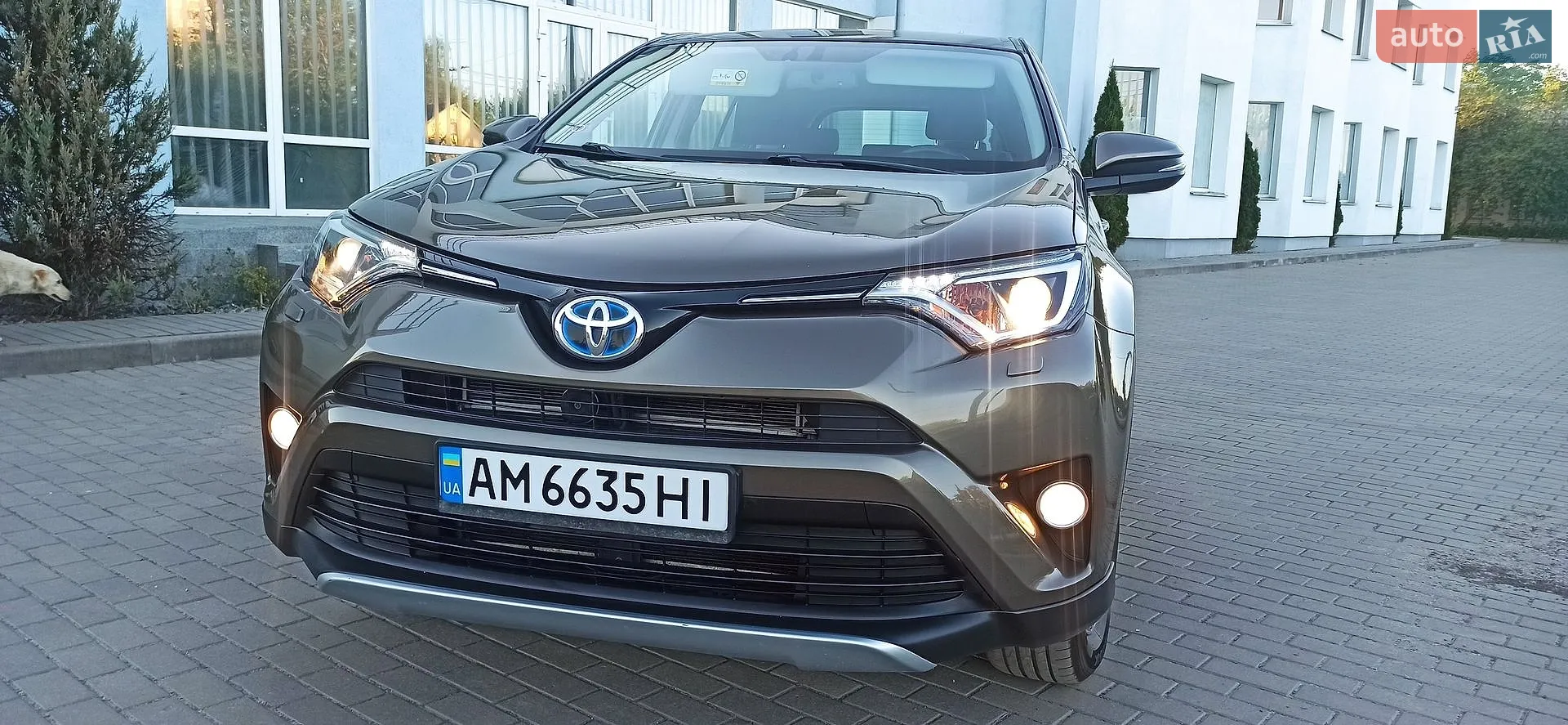 2017 Toyota RAV 4 - фото 1