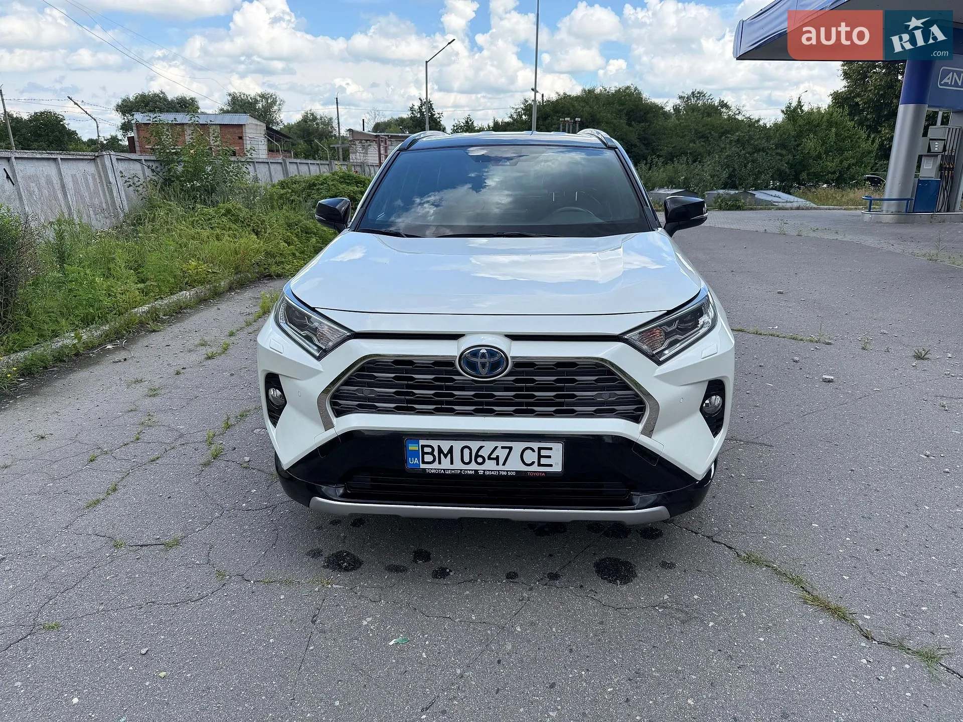 2019 Toyota RAV 4 - мініатюра 2