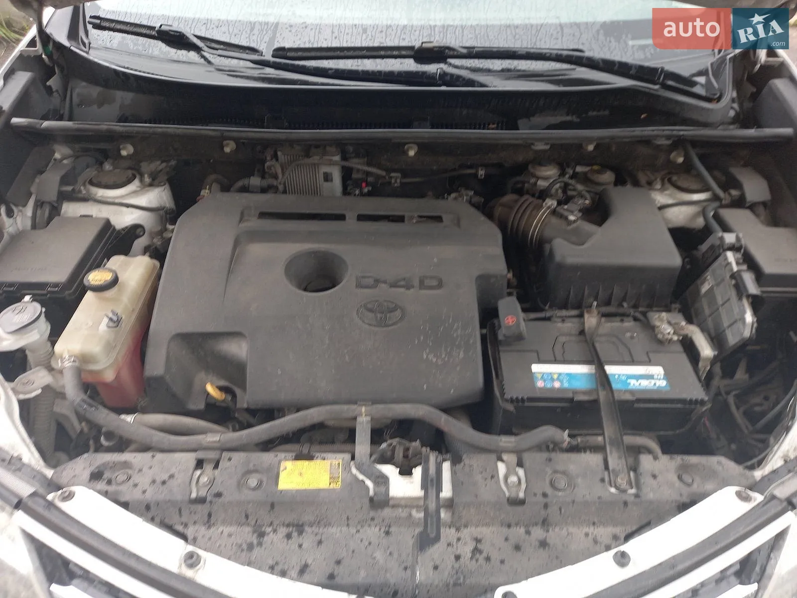 2013 Toyota RAV 4 - мініатюра 12