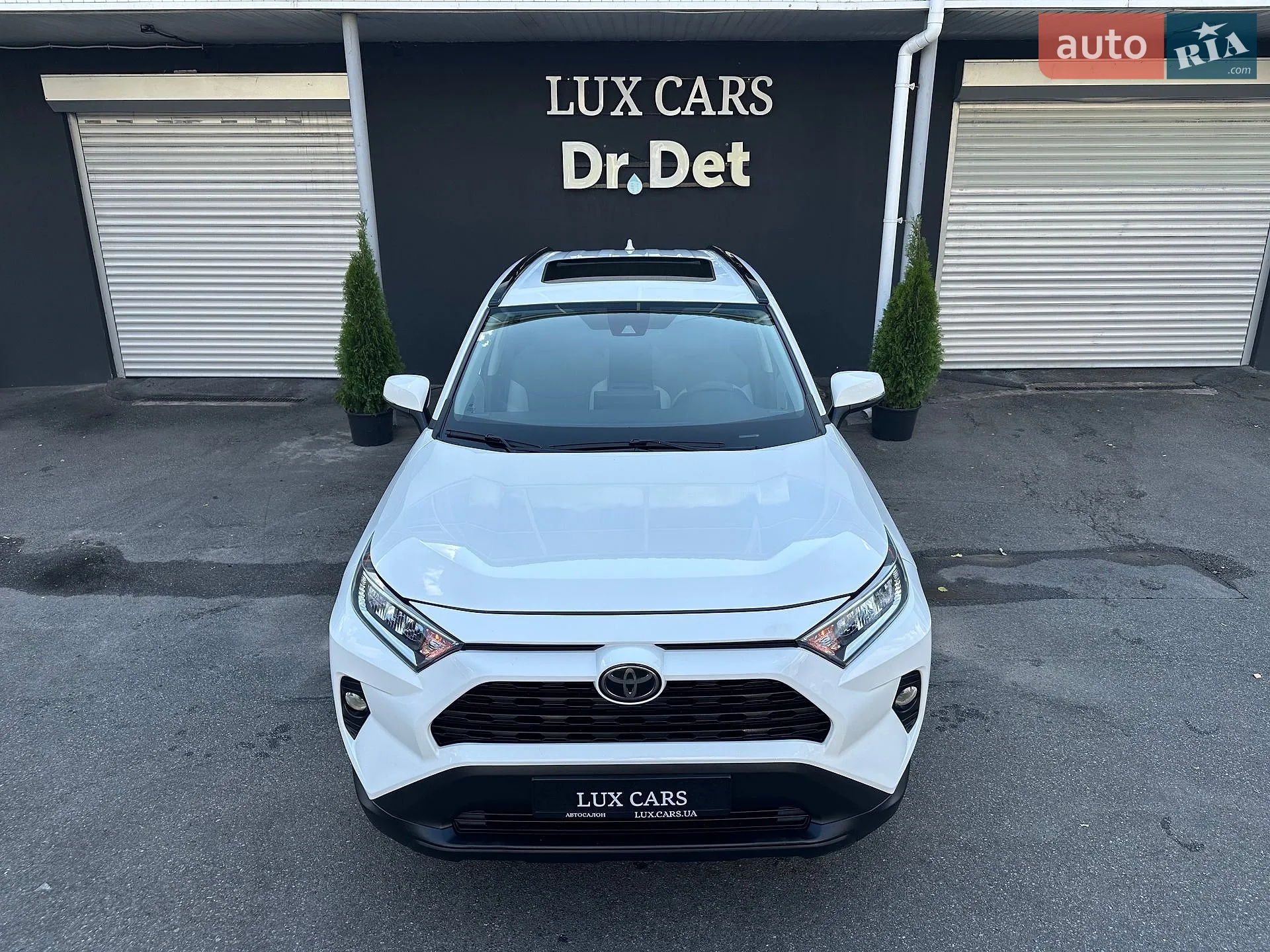 2019 Toyota RAV 4 - мініатюра 2