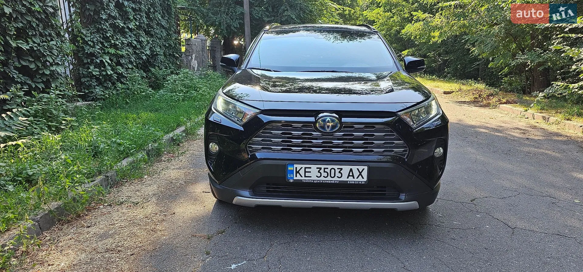 2019 Toyota RAV 4 - мініатюра 3