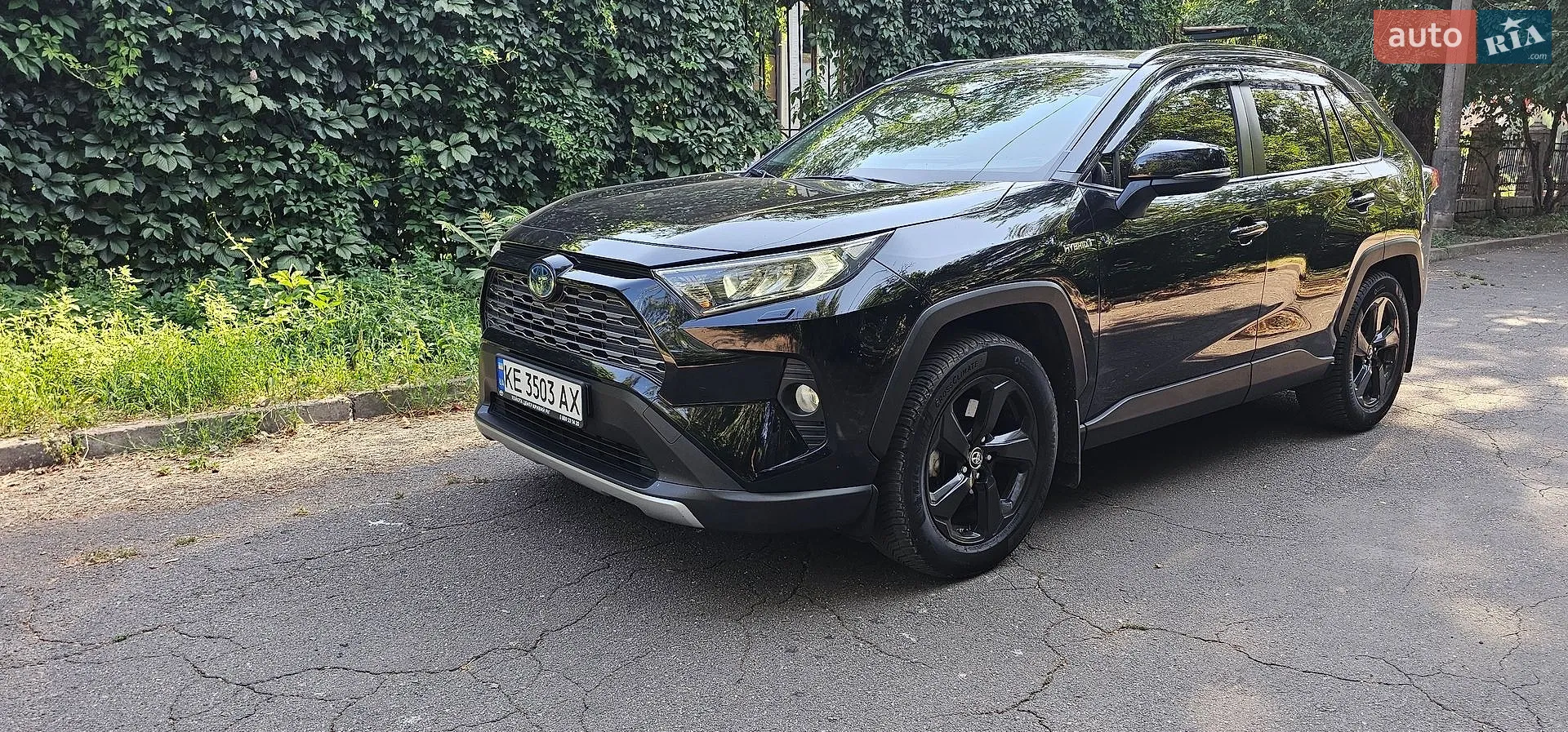 2019 Toyota RAV 4 - фото 1