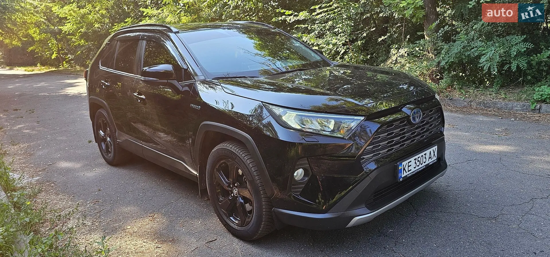 2019 Toyota RAV 4 - мініатюра 24