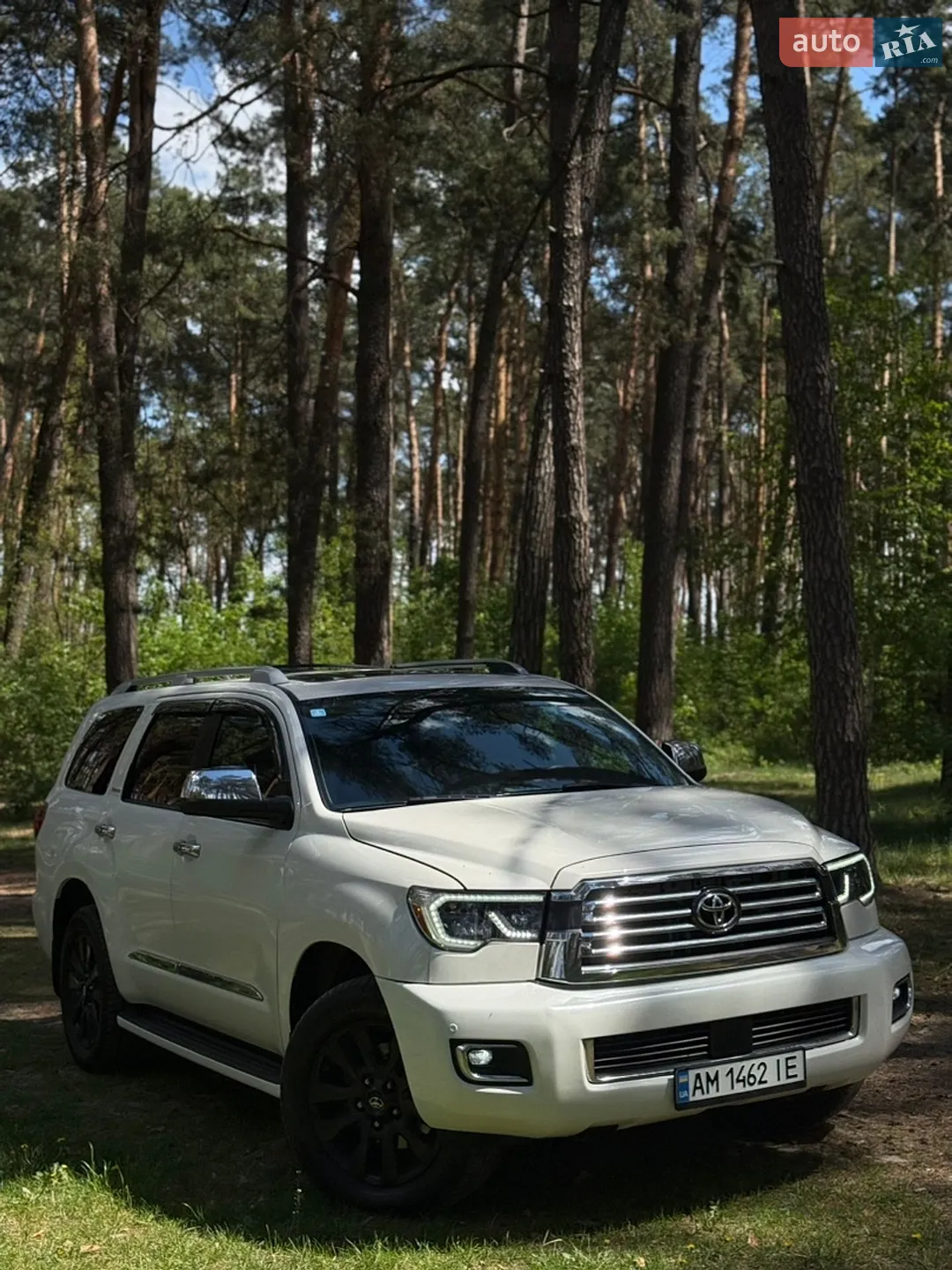 2019 Toyota Sequoia - мініатюра 2