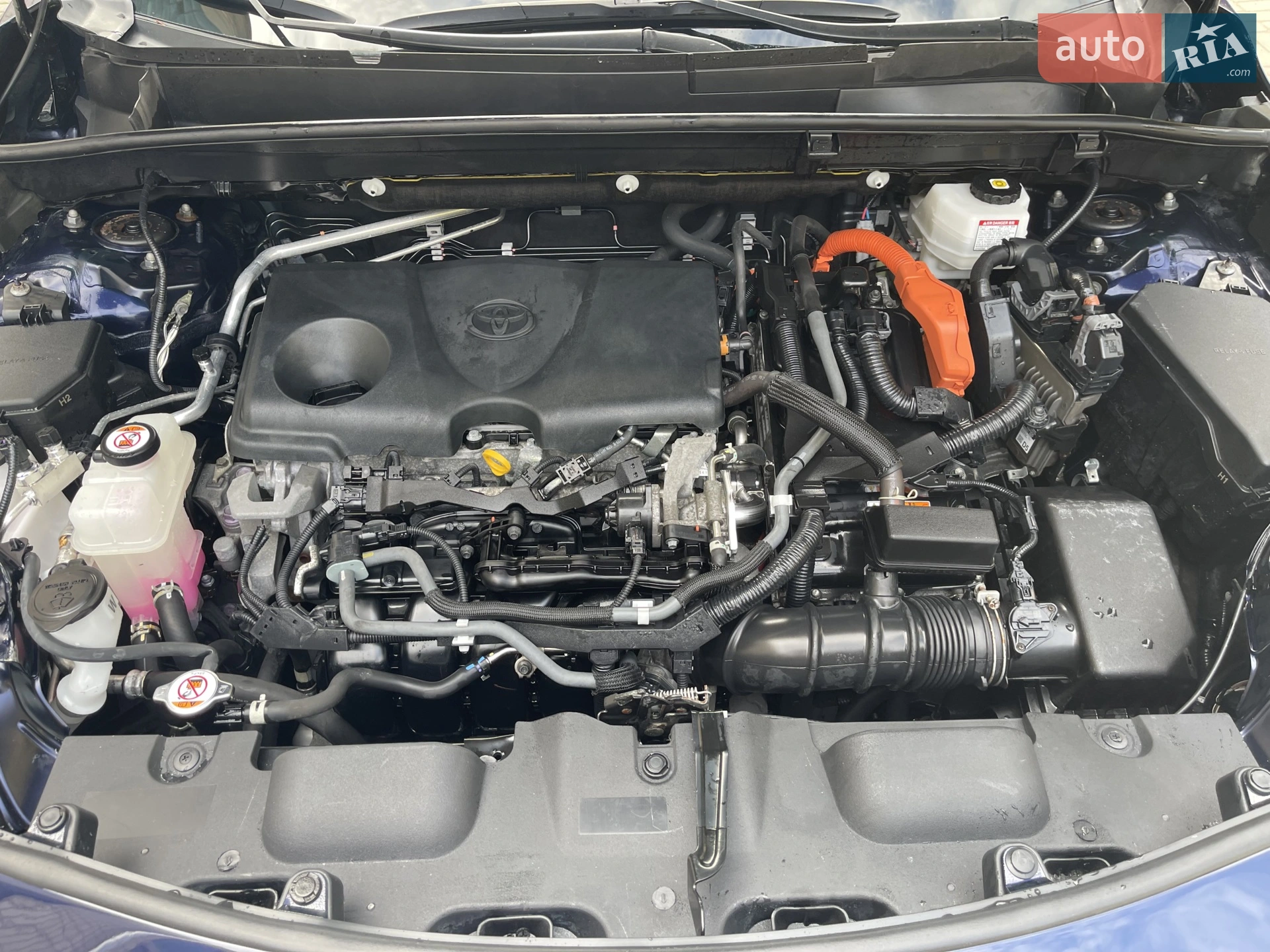 2021 Toyota Venza - мініатюра 13