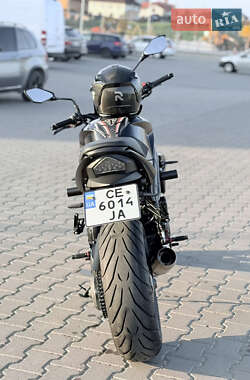 Мотоцикл Без обтекателей (Naked bike) Triumph Speed Triple 2010 в 