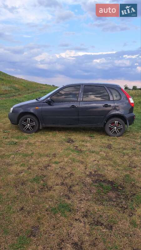 Универсал ВАЗ / Lada 1117 Калина 2008 в Павлограде