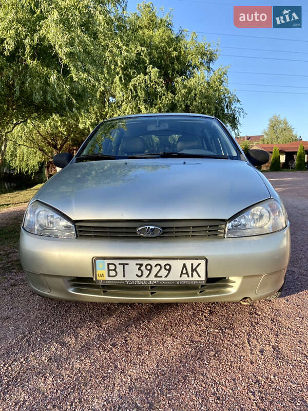 Универсал ВАЗ / Lada 1117 Калина 2008 в Вышгороде