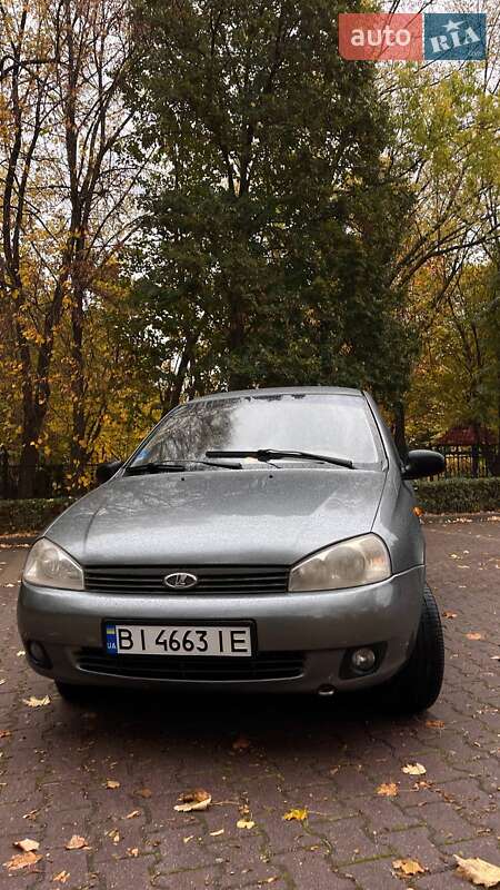 Универсал ВАЗ / Lada 1117 Калина 2008 в Миргороде