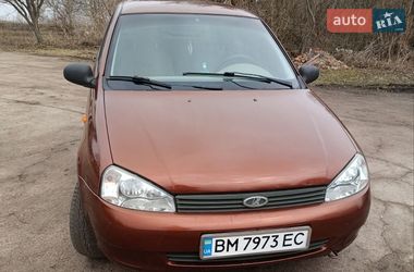 Універсал ВАЗ 1117 Калина 2008 в Прилуках