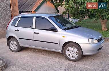 Хетчбек ВАЗ 1119 Калина 2007 в Новій Одесі