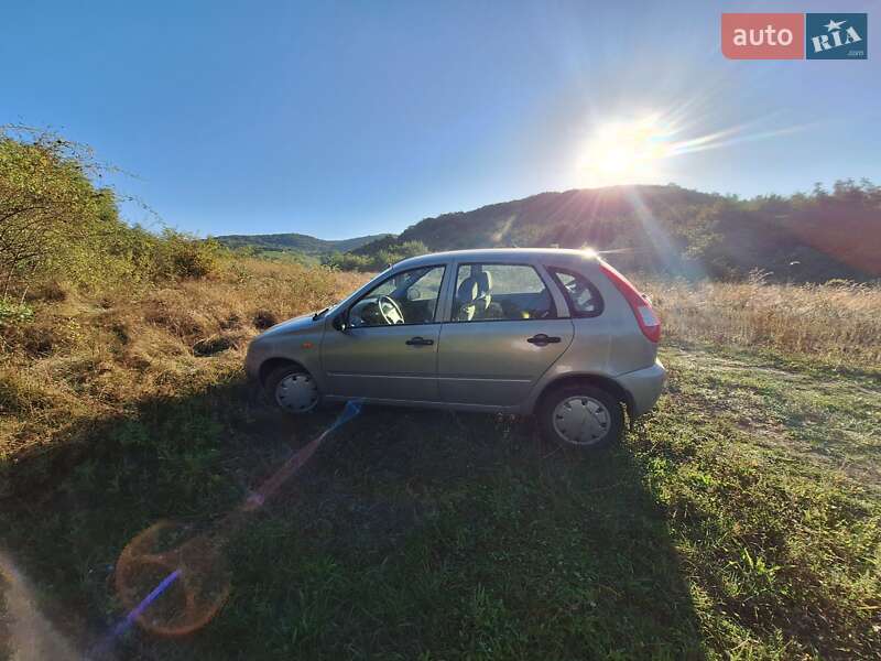 Хетчбек ВАЗ / Lada 1119 Калина 2008 в Ужгороді