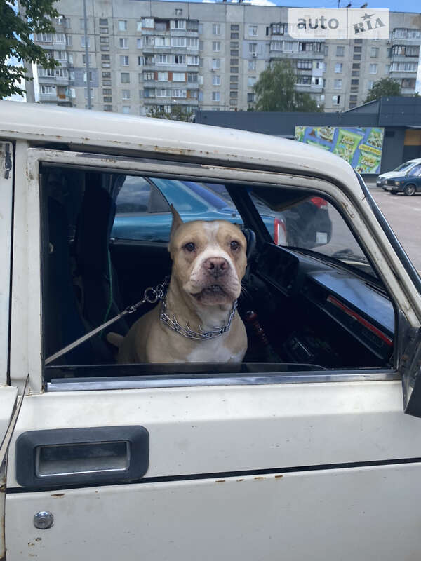 Седан ВАЗ / Lada 2105 1982 в Харкові