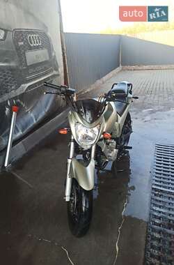 Мотоцикл Без обтекателей (Naked bike) Viper VM 200-R2 2014 в 
