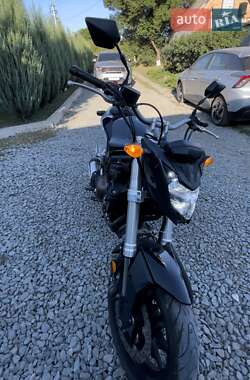 Мотоцикл Багатоцільовий (All-round) Voge 500DS 2020 в 