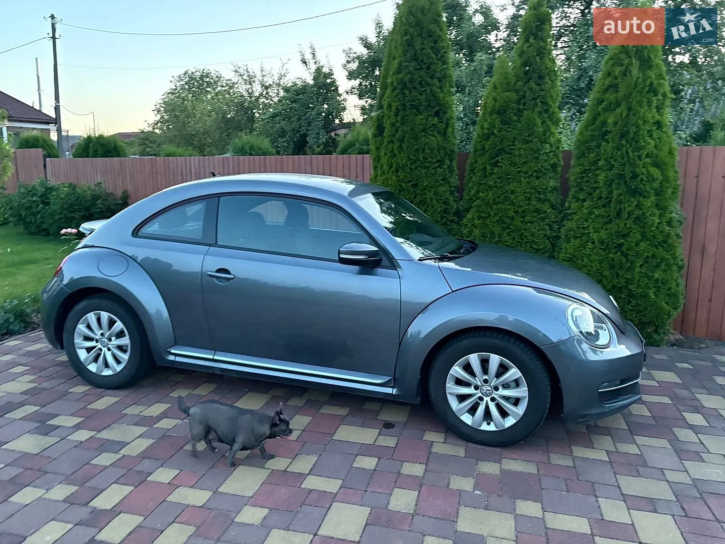 2019 Volkswagen Beetle - мініатюра 4