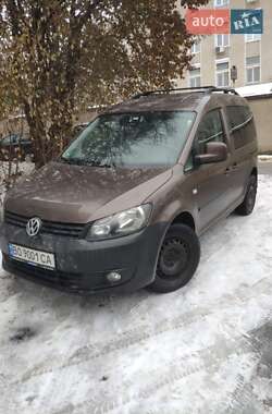 Мінівен Volkswagen Caddy 2010 в Тернополі