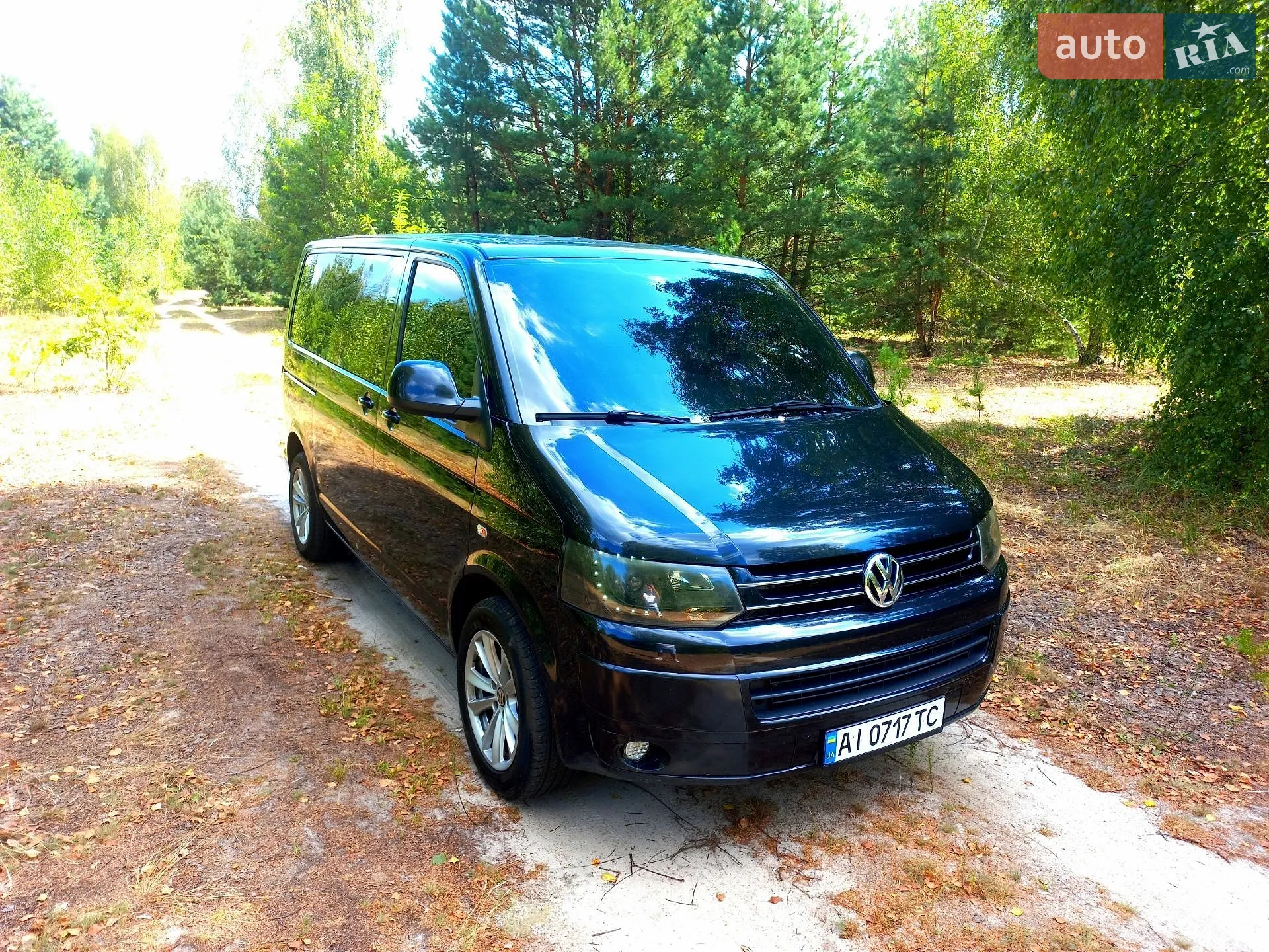 2010 Volkswagen Caravelle - мініатюра 3
