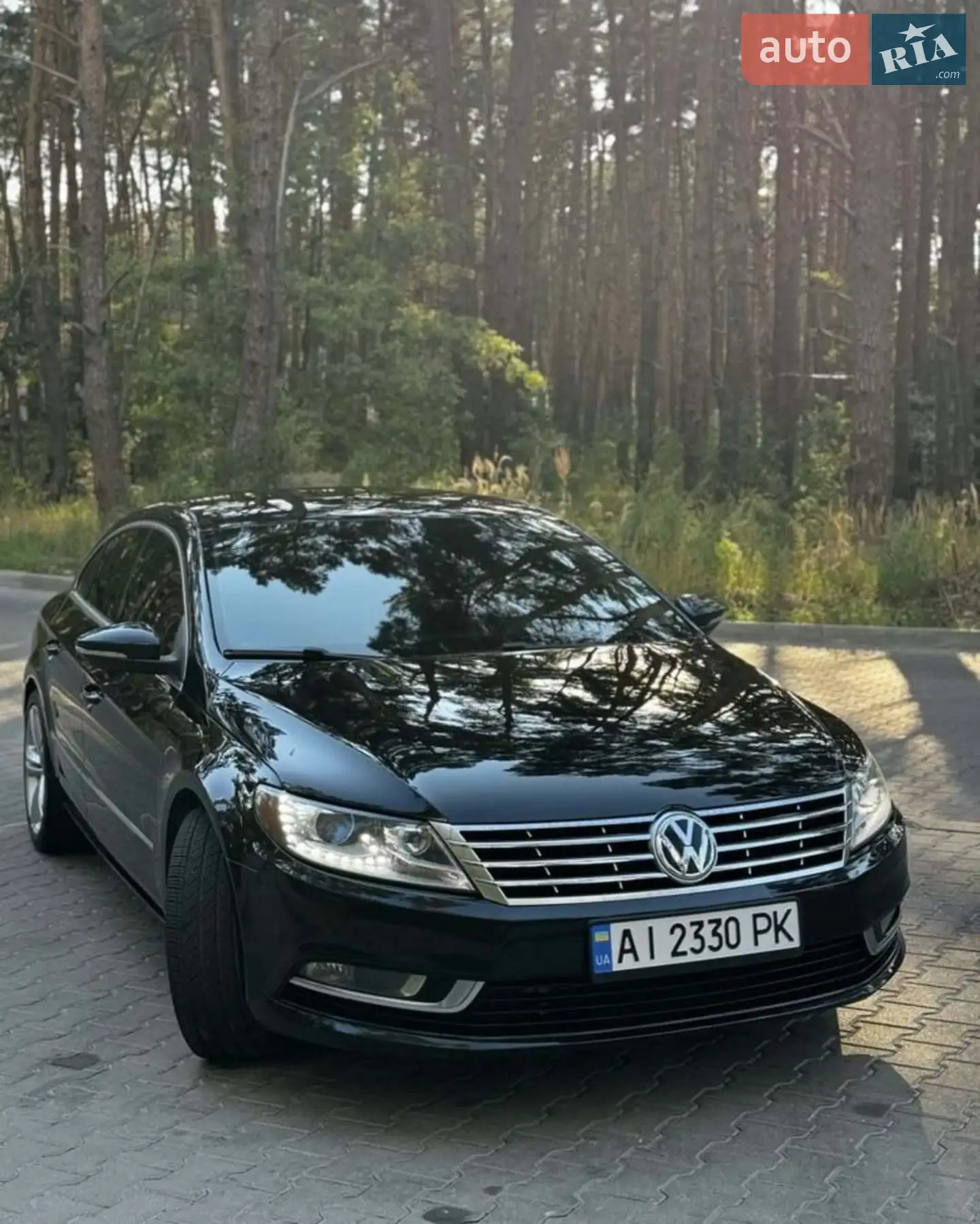 2012 Volkswagen Passat CC - мініатюра 6