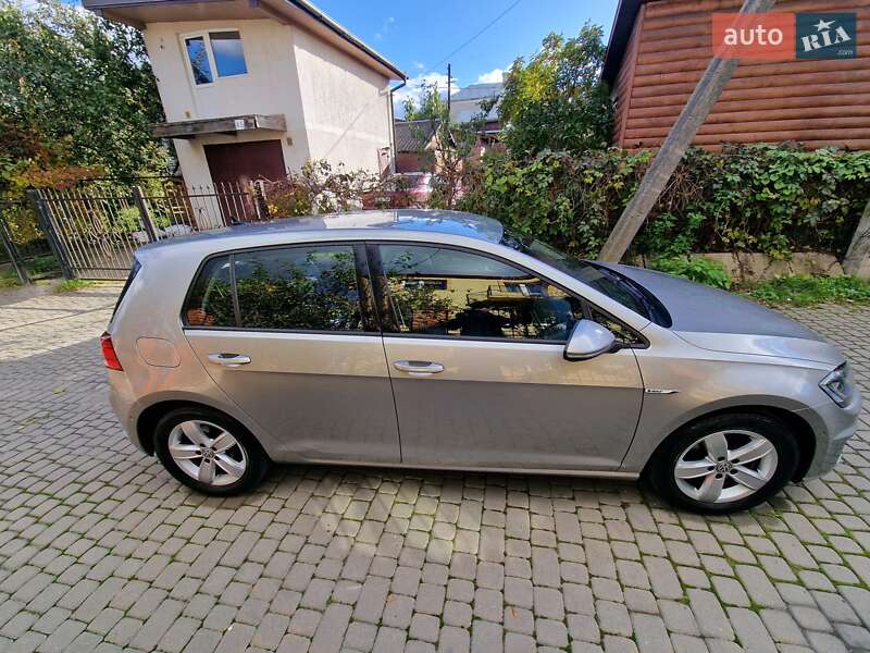 Хэтчбек Volkswagen e-Golf 2017 в Львове фото 18 Хэтчбек Volkswagen e-Golf 2017 в Львове