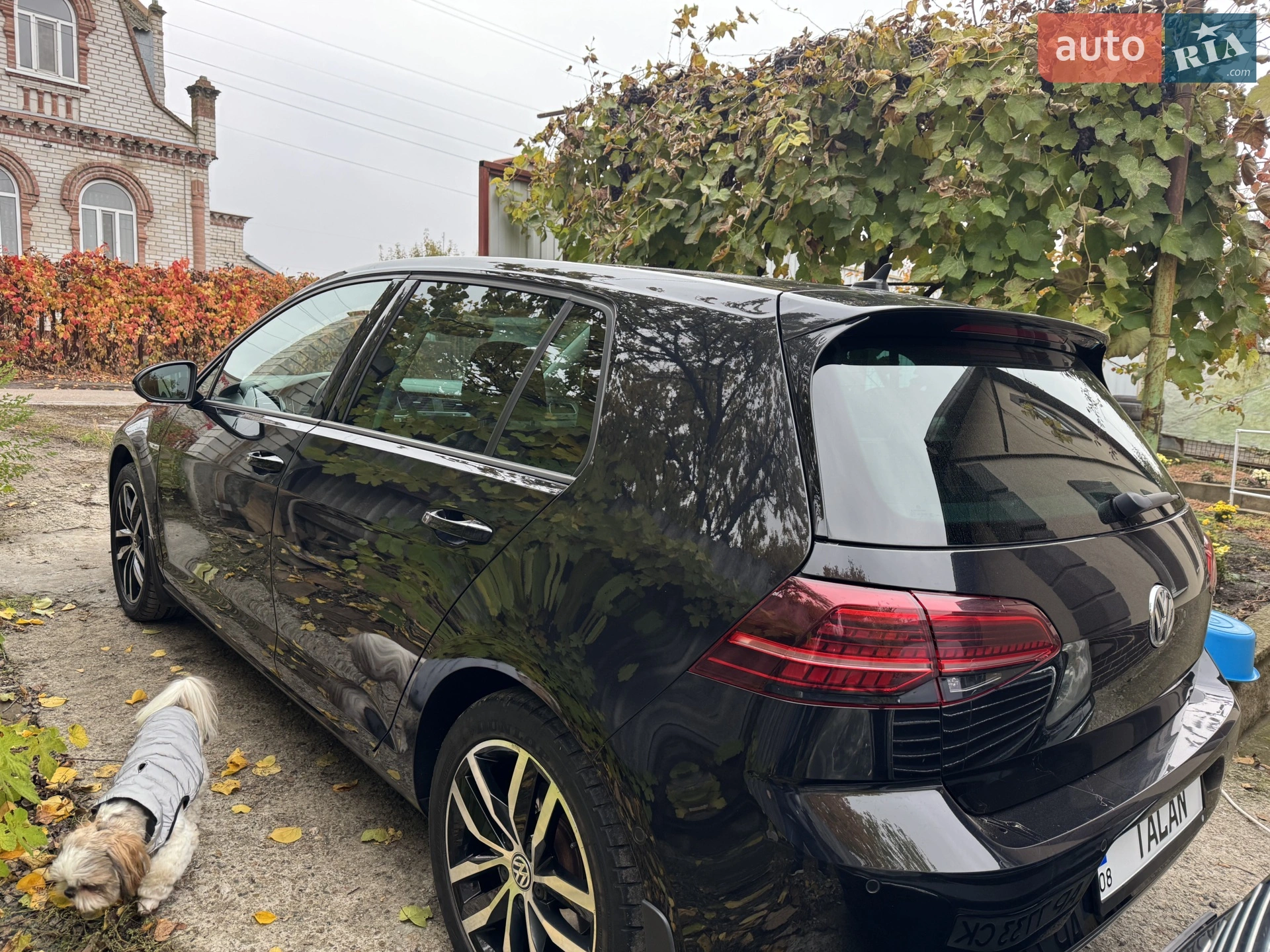 2018 Volkswagen Golf - мініатюра 2