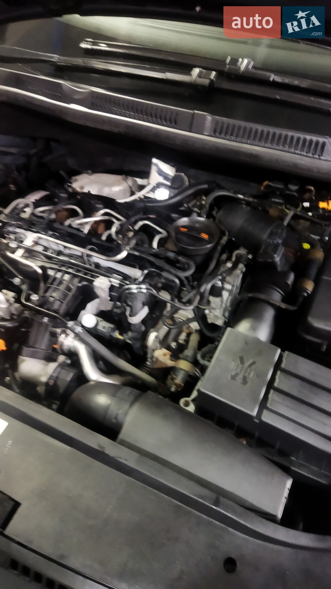 2011 Volkswagen Golf Plus - мініатюра 6