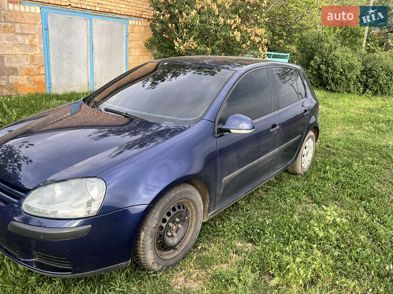 Хетчбек Volkswagen Golf 2004 в Васильківці