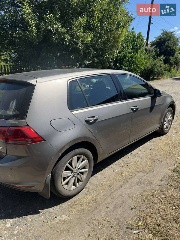 Хэтчбек Volkswagen Golf 2013 в Смеле