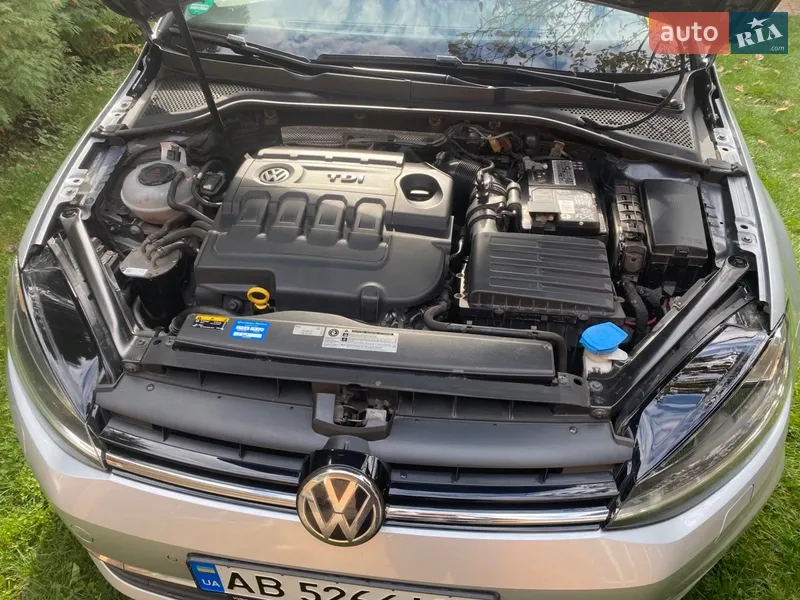 Volkswagen Golf 2019 VIN WVWZZZAUZKP541219 фото оголошення 15 з 63