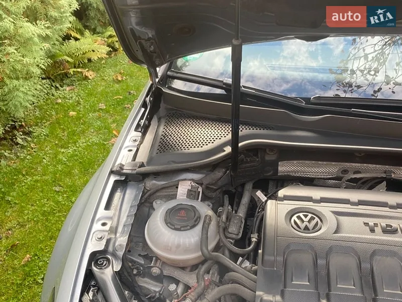 Volkswagen Golf 2019 VIN WVWZZZAUZKP541219 фото оголошення 11 з 63