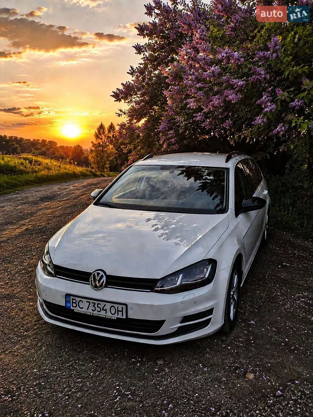 Volkswagen Golf 2014 VIN WVWZZZAUZFP525348 фото оголошення 31 з 32