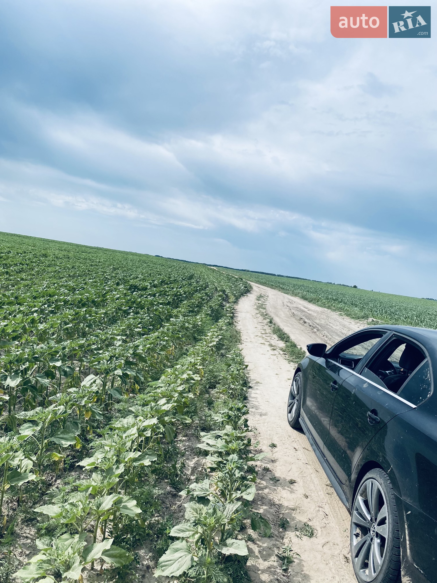 2012 Volkswagen Jetta - мініатюра 11
