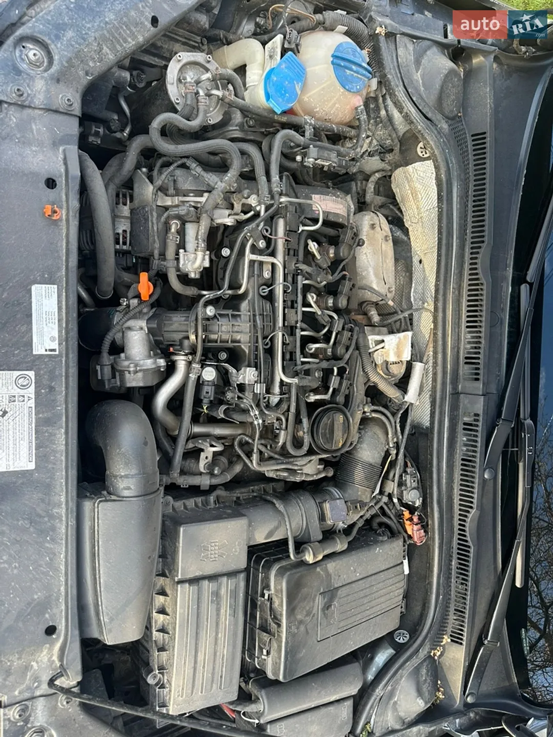 2012 Volkswagen Jetta - мініатюра 12