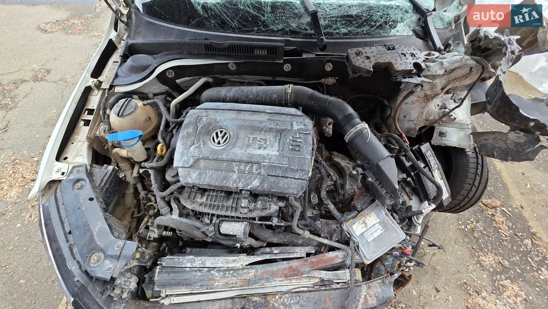 2016 Volkswagen Jetta - мініатюра 12