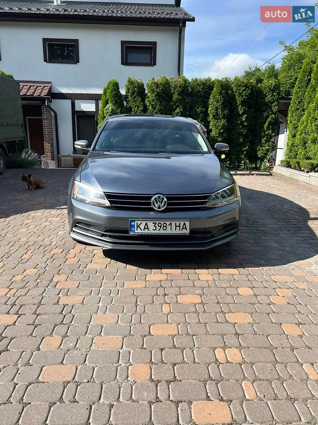 2015 Volkswagen Jetta - мініатюра 11