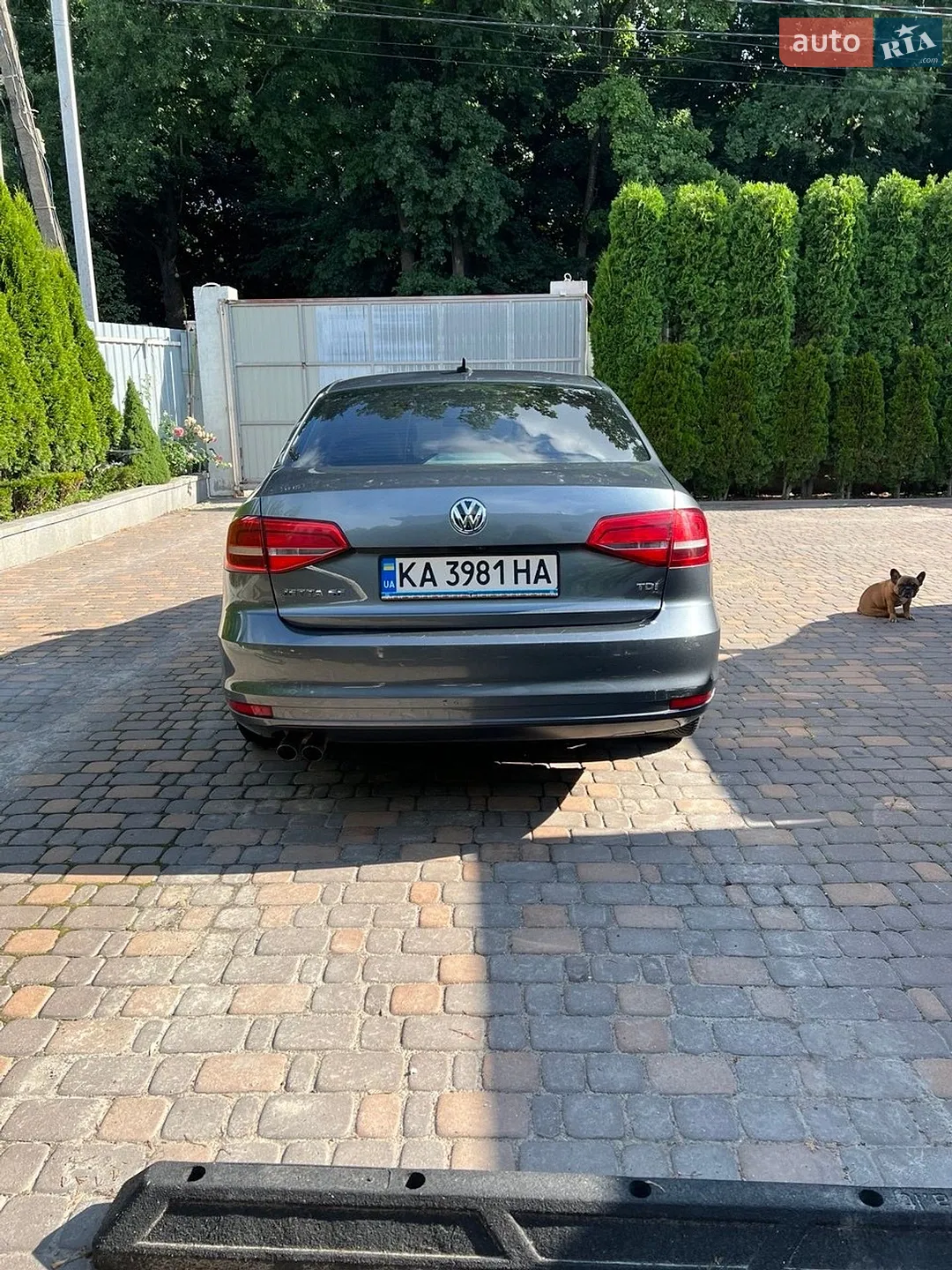 2015 Volkswagen Jetta - мініатюра 13