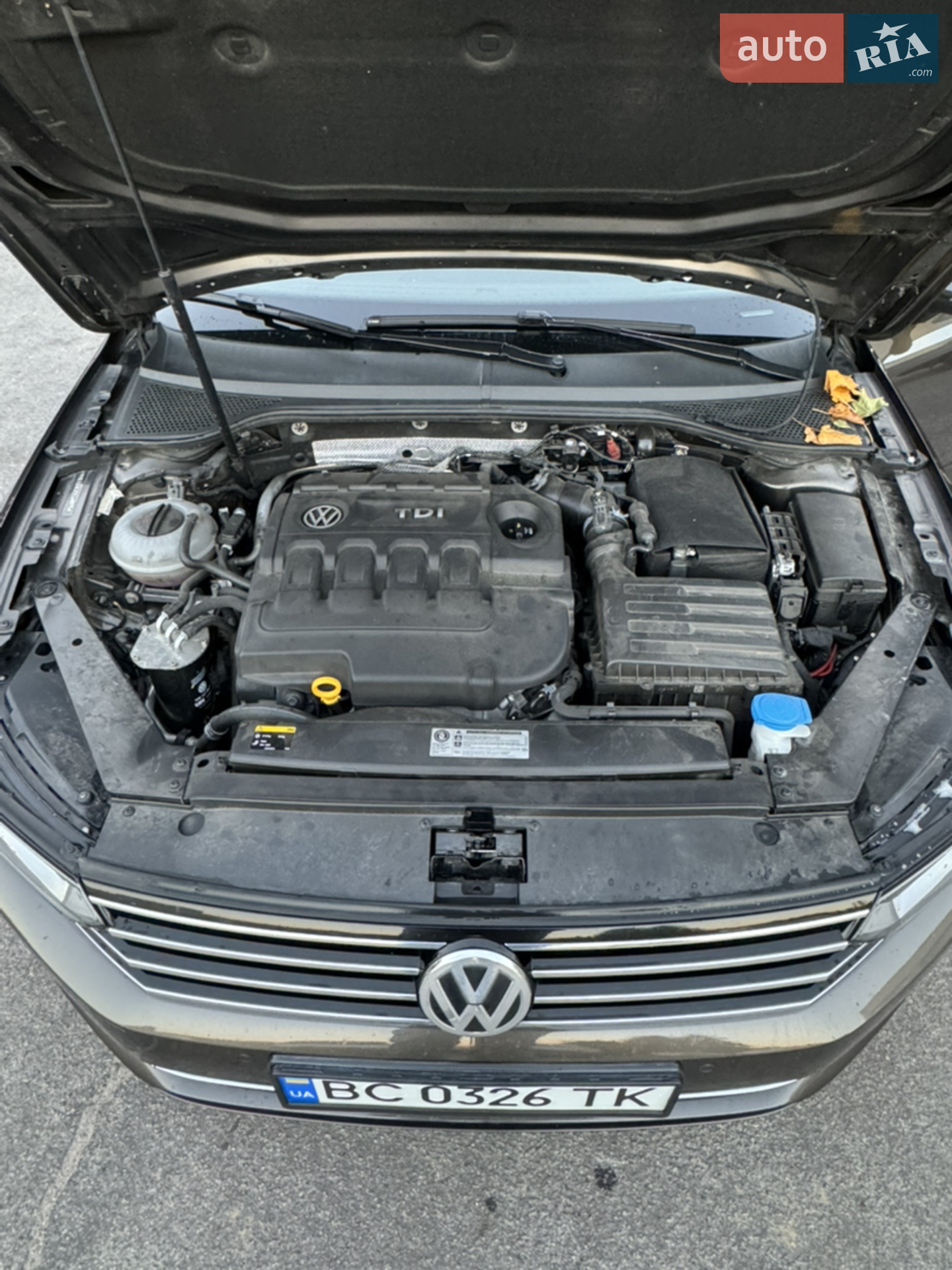 2014 Volkswagen Passat - мініатюра 13
