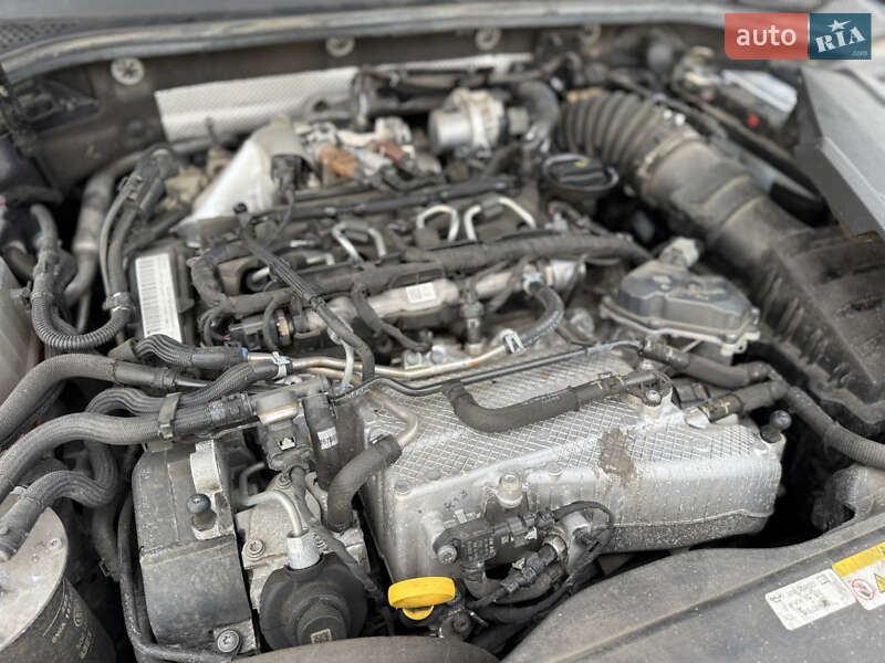Седан Volkswagen Passat 2022 в Луцьку фото 145 Седан Volkswagen Passat 2022 в Луцьку