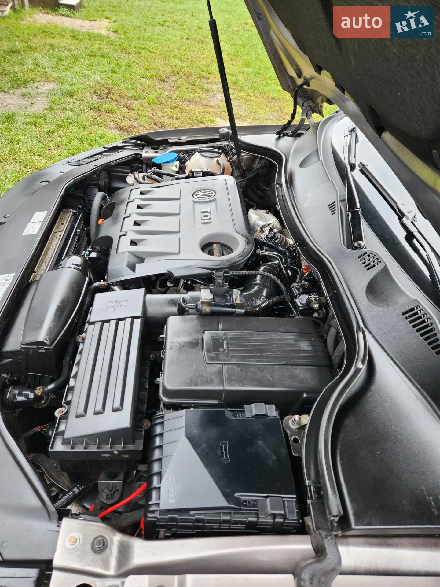 2011 Volkswagen Passat - мініатюра 7