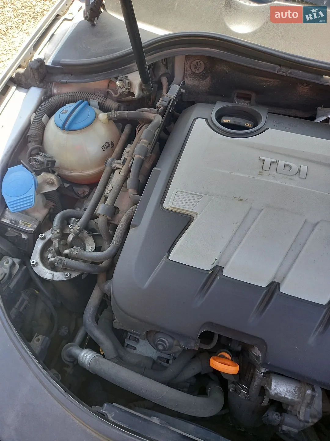 2010 Volkswagen Passat - мініатюра 11