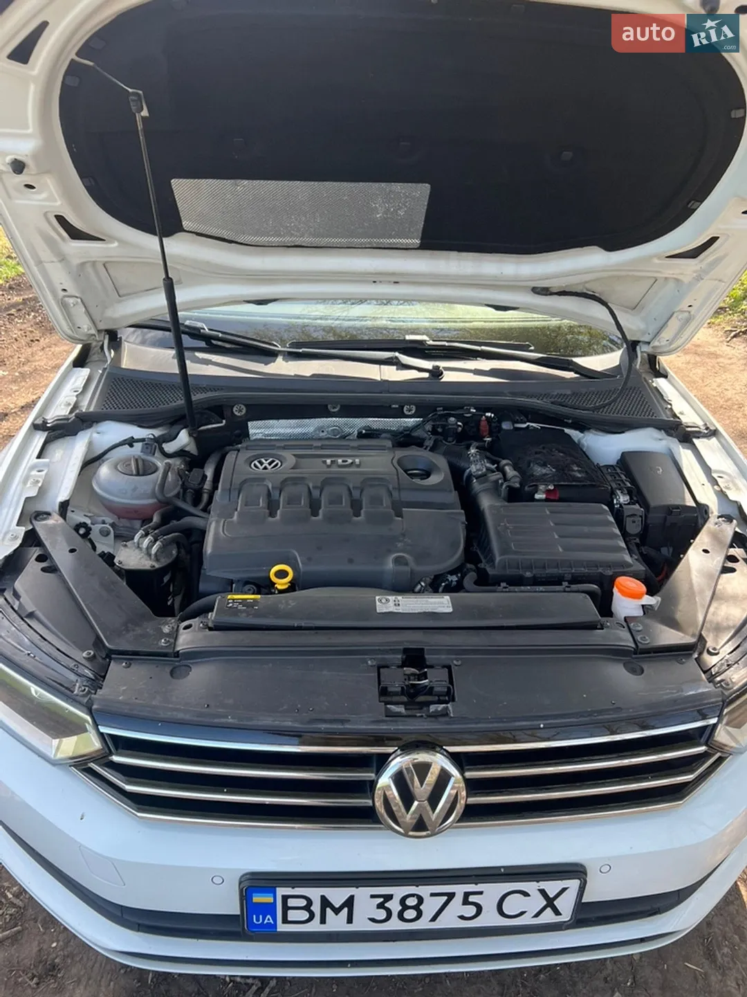 2015 Volkswagen Passat - мініатюра 12