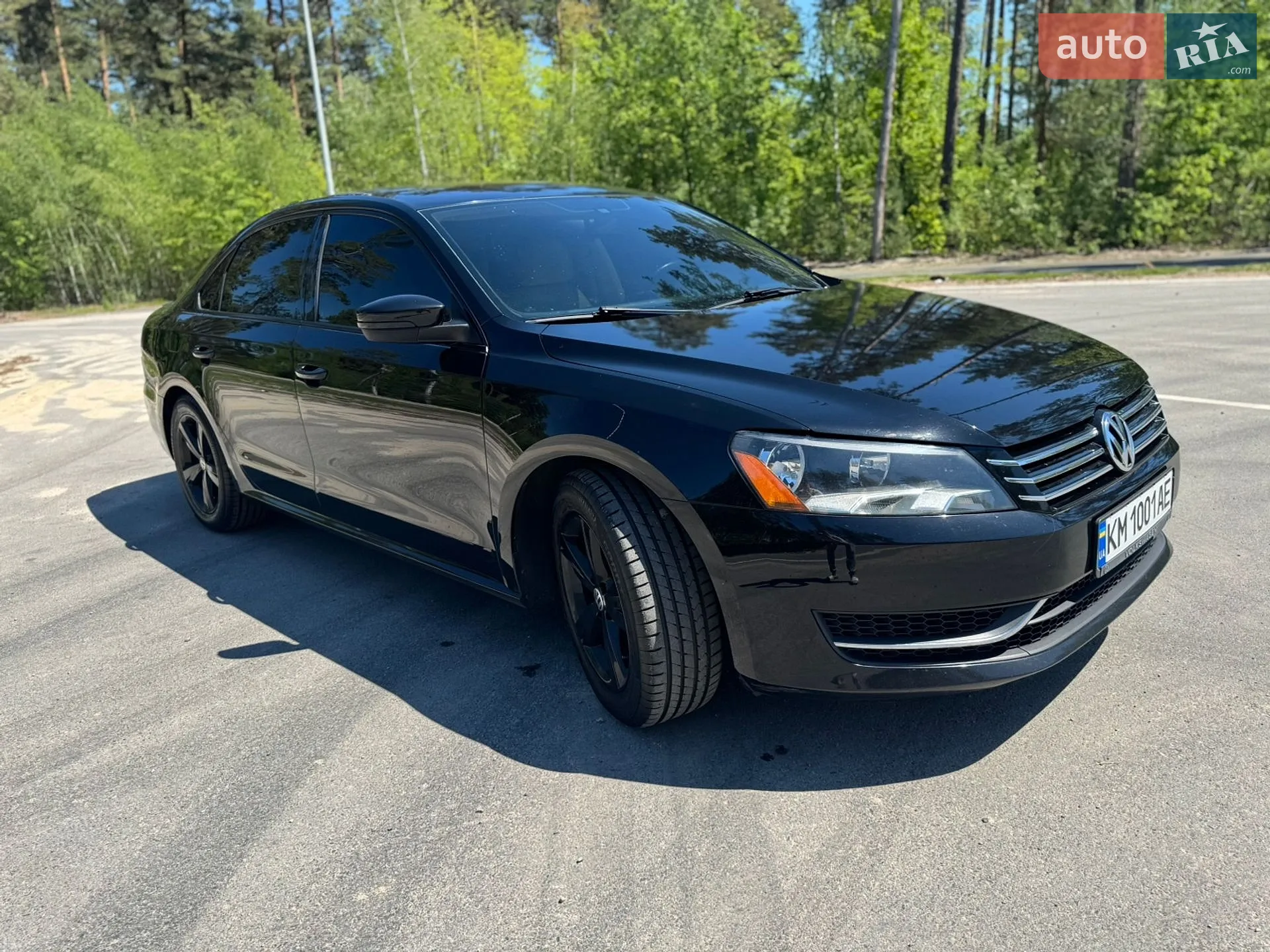 2013 Volkswagen Passat - мініатюра 11
