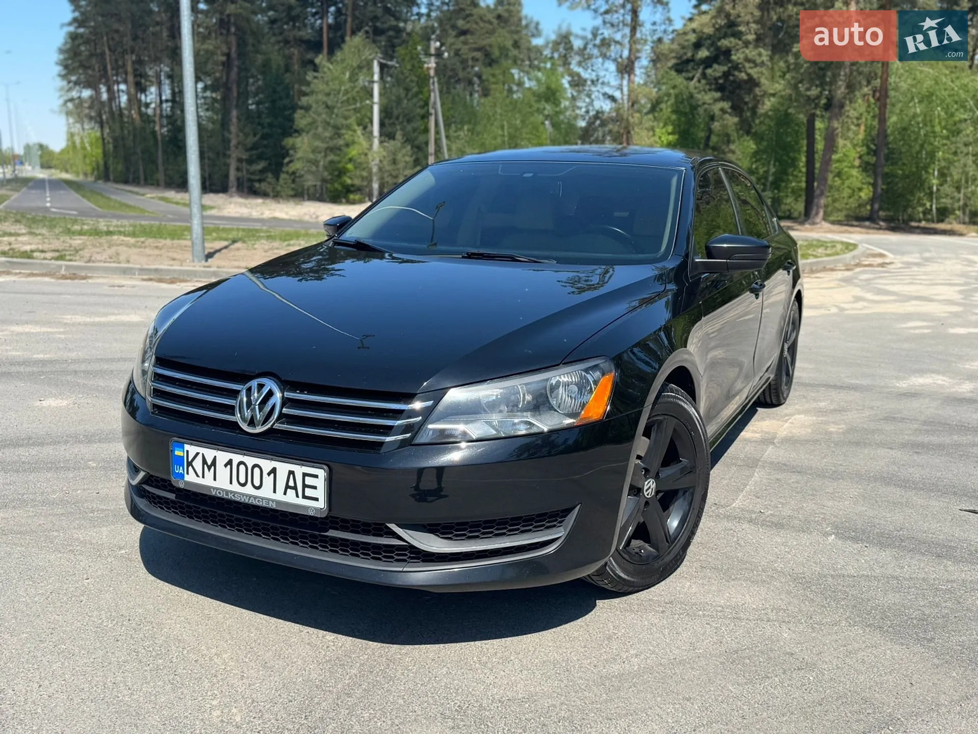 2013 Volkswagen Passat - мініатюра 12