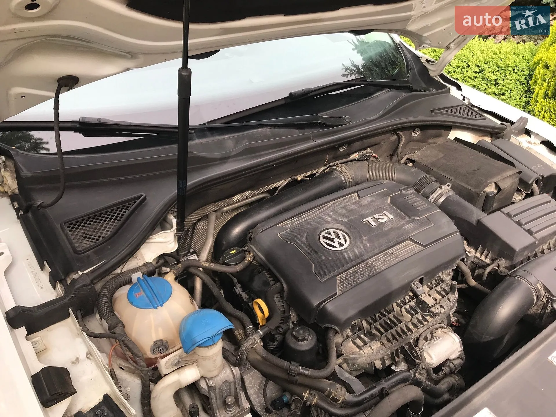 2017 Volkswagen Passat - мініатюра 8