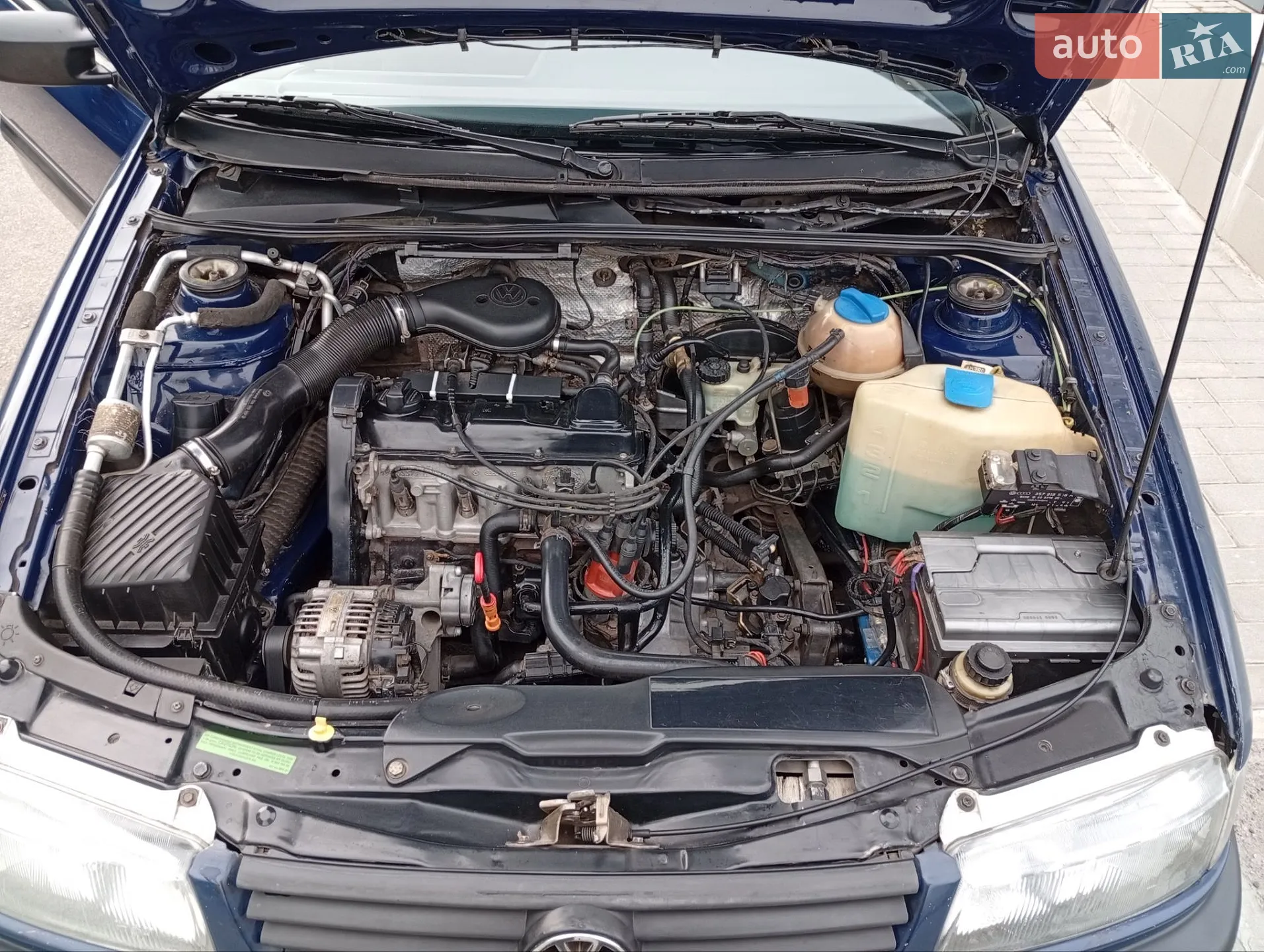 Volkswagen Passat 1996 VIN WVWZZZ3AZTE182448 фото оголошення 11 з 18