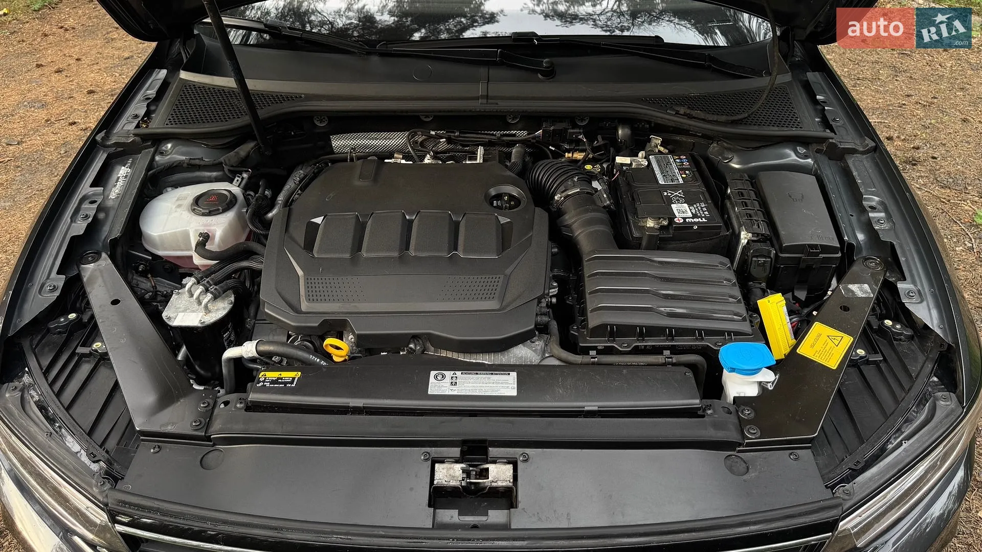 2019 Volkswagen Passat - мініатюра 25